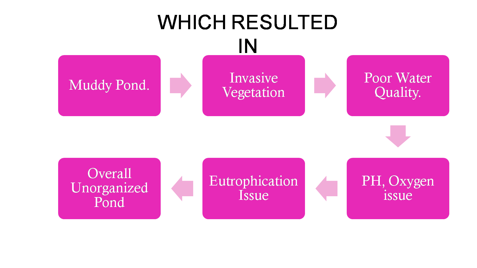 Pond improvement and restoration presentation - slide 4